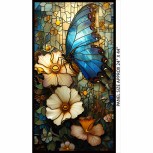 Windows of Wonder